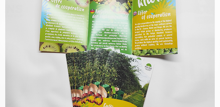 Czym jest bigowanie?