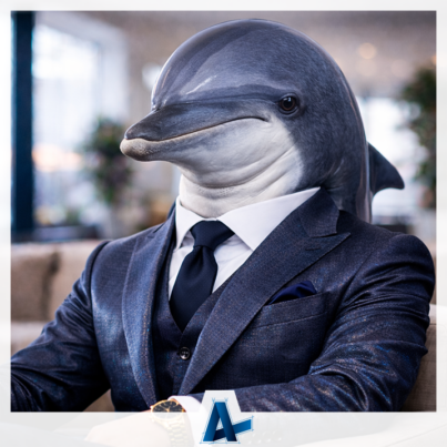 Delfin reklamowy – marketing komunikacyjny, przyjazny i nastawiony na doświadczenie klienta