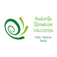 hodowla slimakow wieczorek