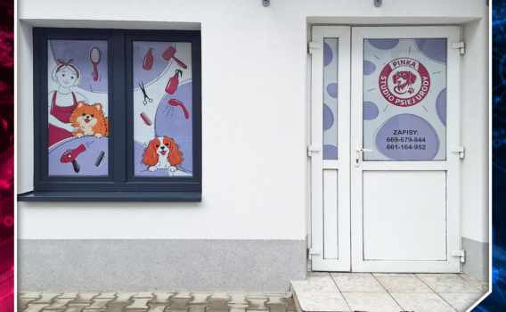 Oklejanie witryny folią OWV – realizacja dla PINKA Studio Psiej Urody