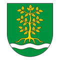 Gmina-Grabów